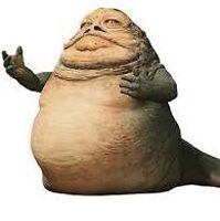 amandajoy_veness avatar