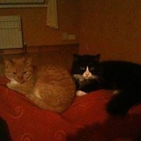 lyndsey_milligan avatar