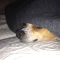 maureen_hauck_1 avatar