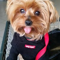 madelyn_stawarz avatar