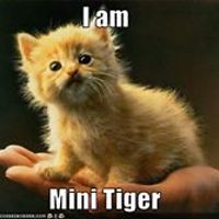 jayne_major_79 avatar