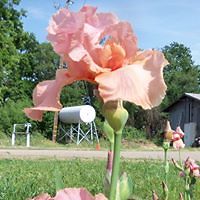 glenneanne_murphy avatar