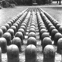 gabriella_fekete_984 avatar