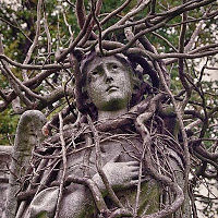 josephinevermillion avatar