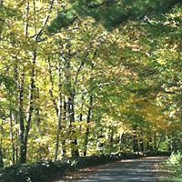 laura_galbraith_980 avatar