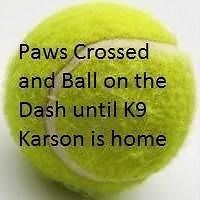 jeanne_l_irwin avatar