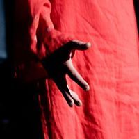 petra_seliskar avatar