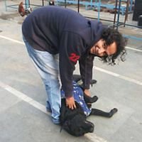 musedwritings avatar