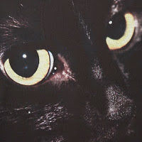 dielilanekatze avatar