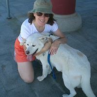 susan_j_barretta avatar