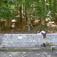 natashagiannakaki avatar