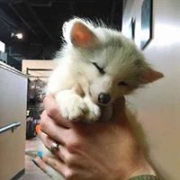 daniel_hirshbein avatar