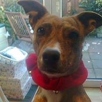 diane_castles avatar