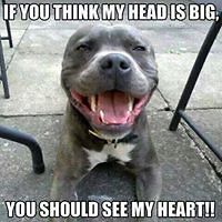 bea_varga_334 avatar