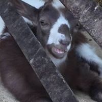 johnny_easley_7 avatar