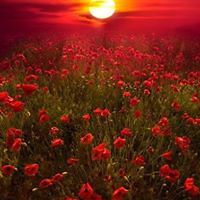 54c89822c6ada avatar