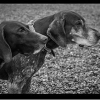 elaine_cross1 avatar