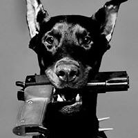 54c8e10852e31 avatar