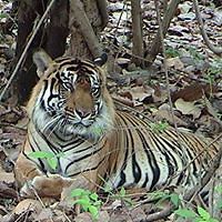 54c911f19f8c8 avatar