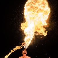 antoniokordic avatar