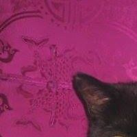 ruth_alexander_167 avatar