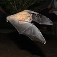 linda_kerby_50 avatar