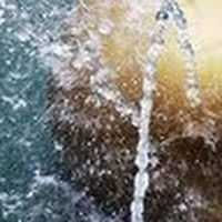 carmegarcialafuente avatar