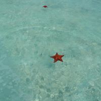 patricia_powell_77 avatar