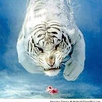 ursula_Lozeau_9 avatar