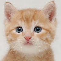 unrealsimon93 avatar