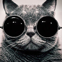 andreysinoptik_1 avatar