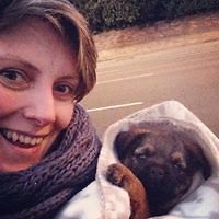 donna_evans_148 avatar