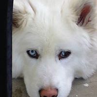 ma_dominguez_5 avatar