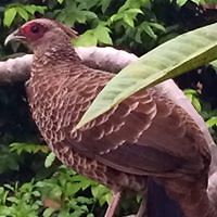 alice_bennett_moran avatar