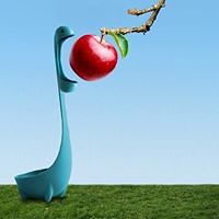 laurel_crooks avatar