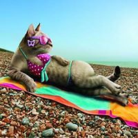 joanne_fabien avatar