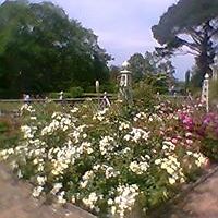 hazel_king_77964 avatar