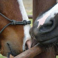 cindy_clarkbladt avatar