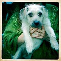 janice_barton_90 avatar