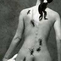 gennine_zinner avatar