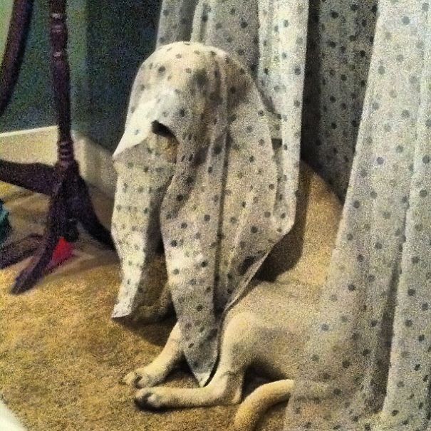 So I Creep, Creep Yahhhhhhh