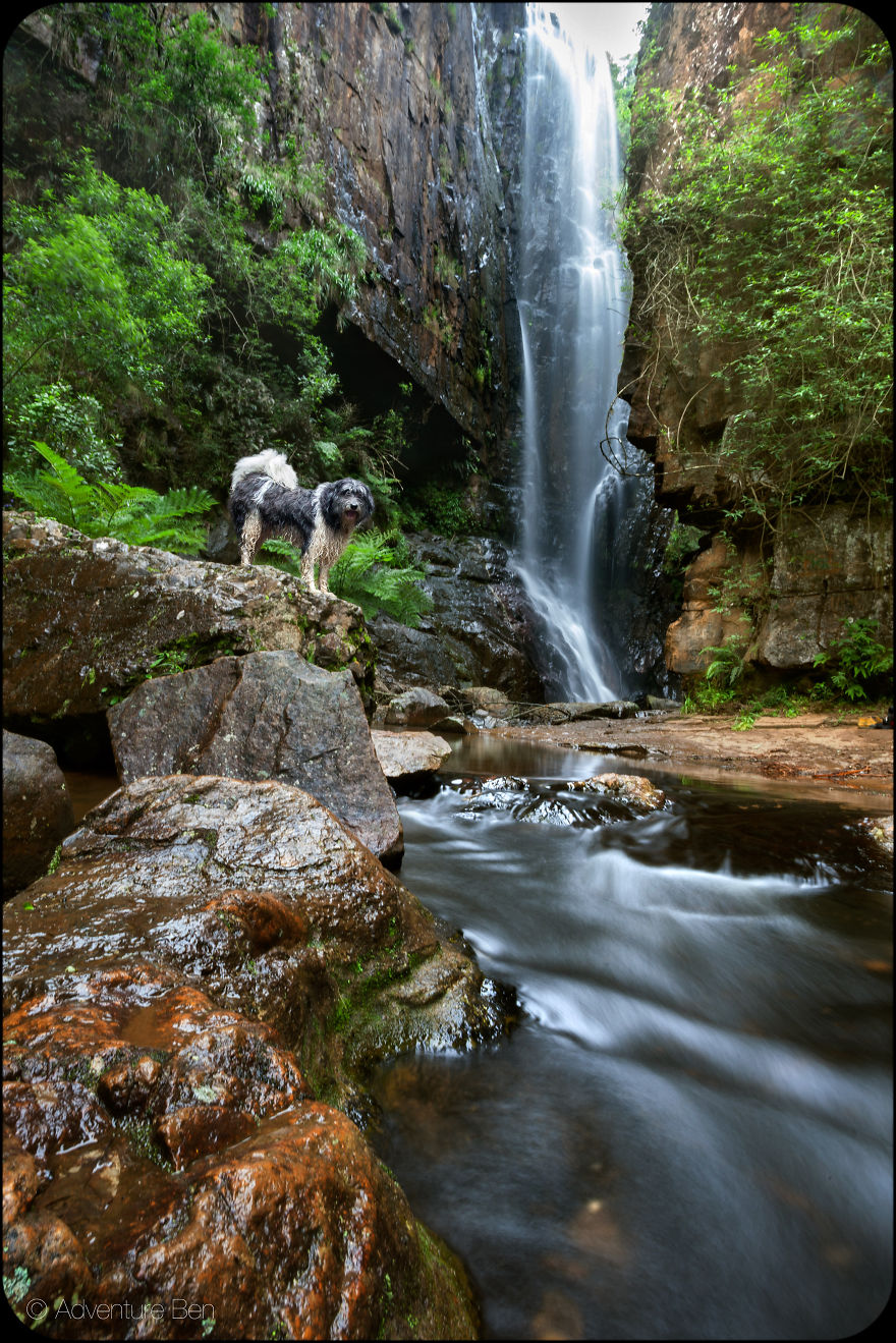 Adventure Ben, From Pound Pup Too Travel Blog Dog Adventure Ben, From Pound Pup Too Travel Blog Dog