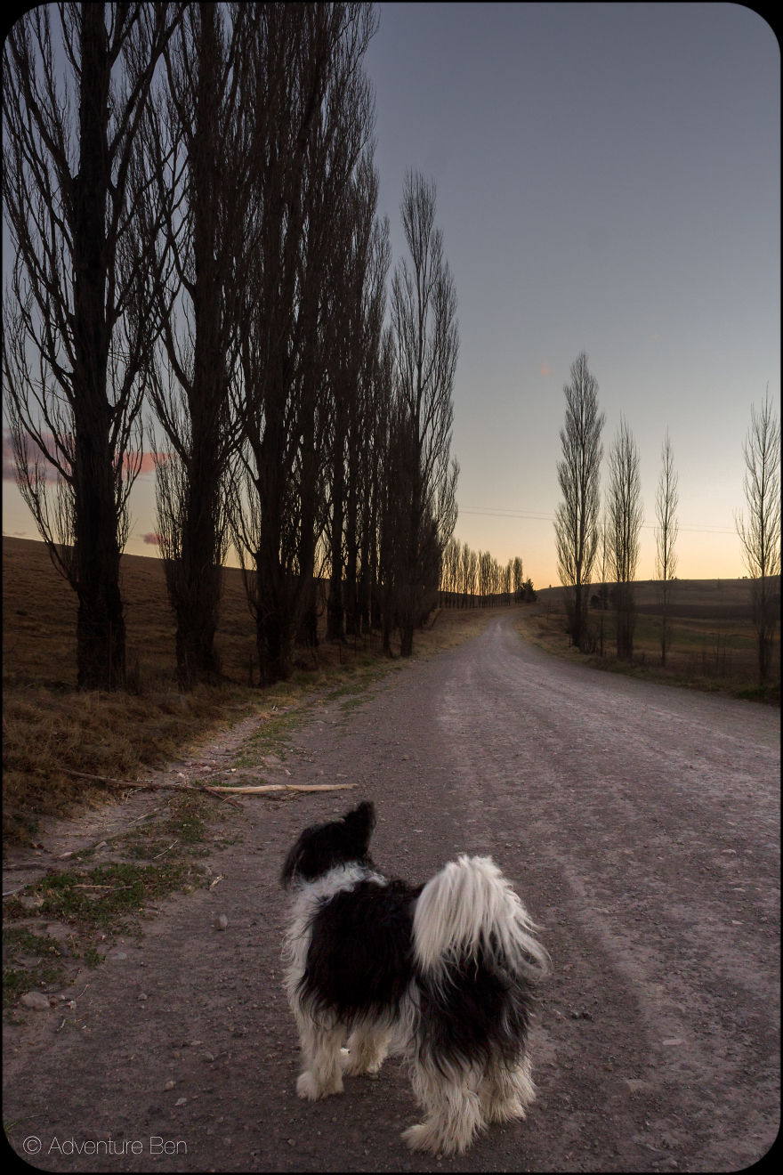 Adventure Ben, From Pound Pup Too Travel Blog Dog Adventure Ben, From Pound Pup Too Travel Blog Dog