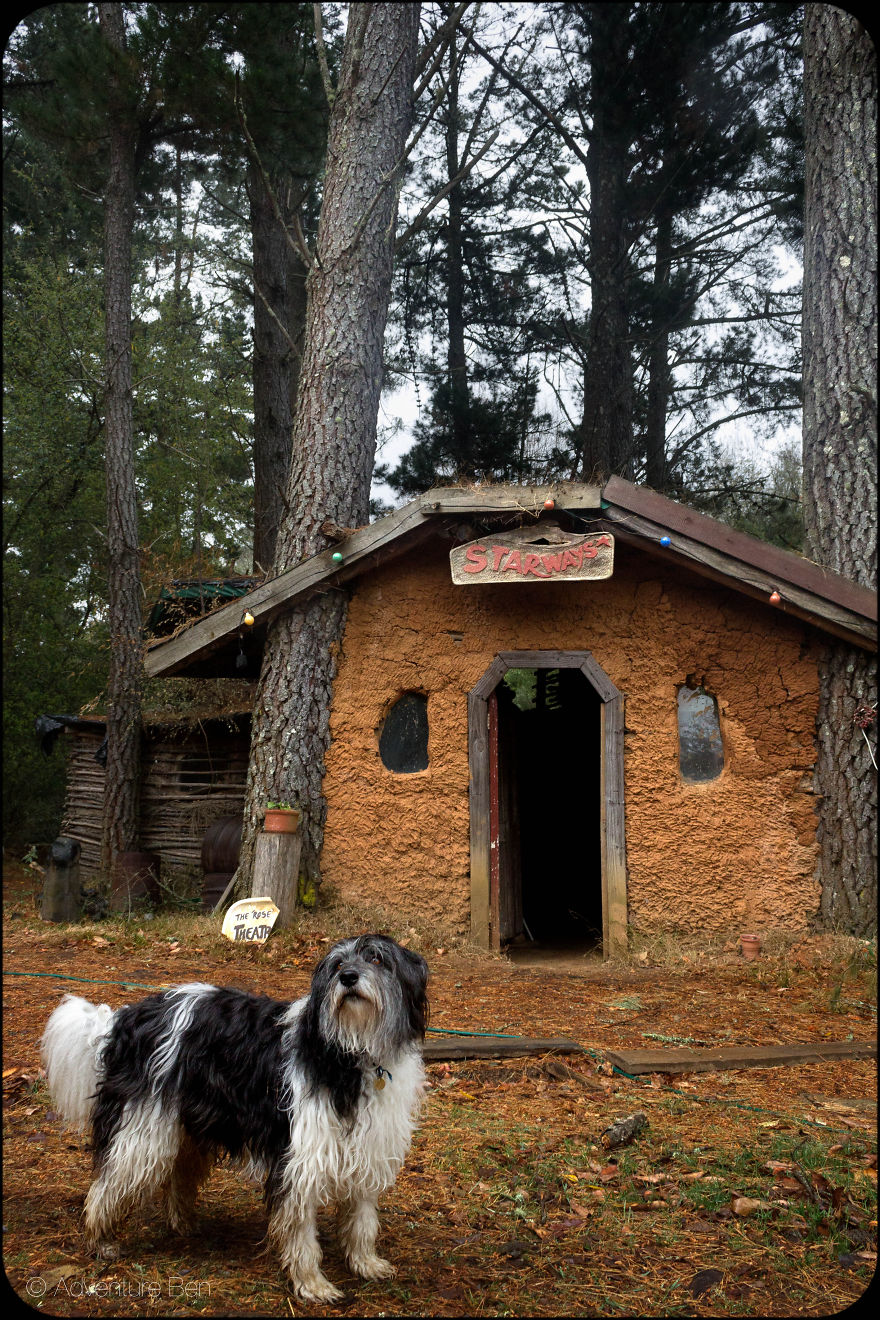 Adventure Ben, From Pound Pup Too Travel Blog Dog Adventure Ben, From Pound Pup Too Travel Blog Dog