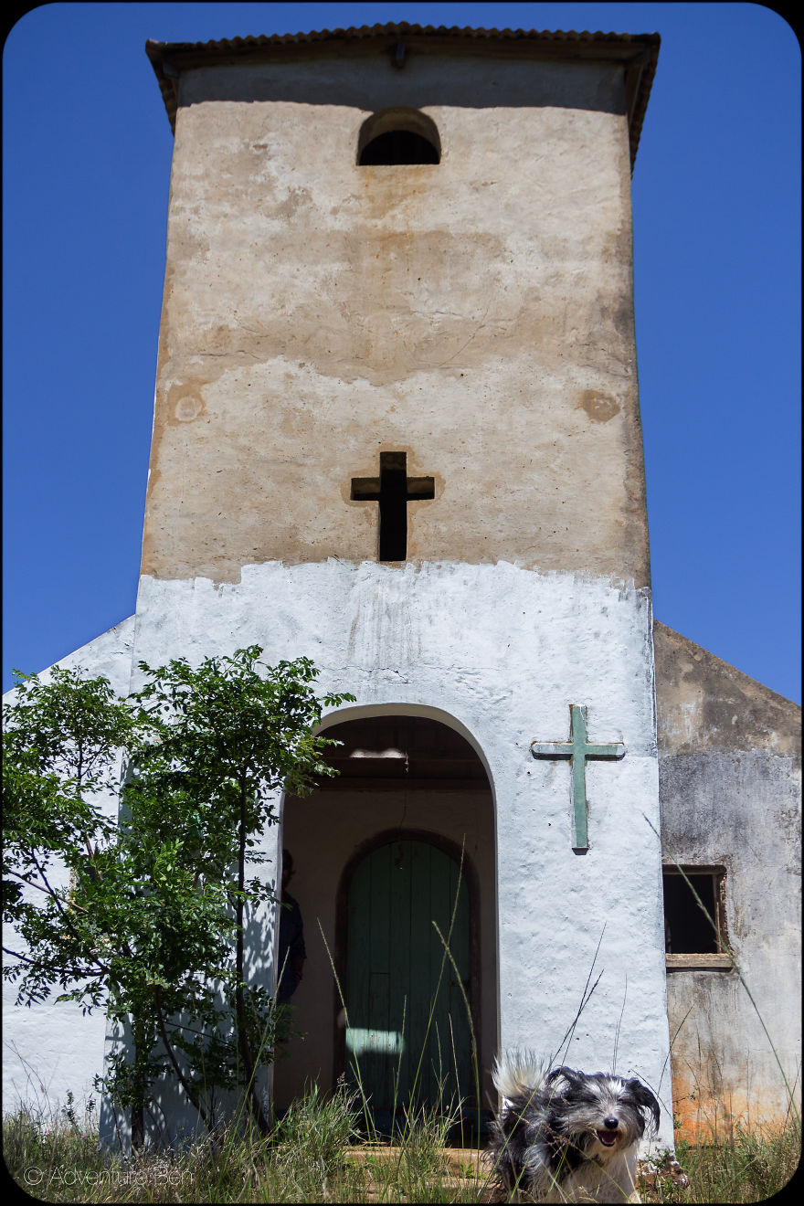 Adventure Ben, From Pound Pup Too Travel Blog Dog Adventure Ben, From Pound Pup Too Travel Blog Dog