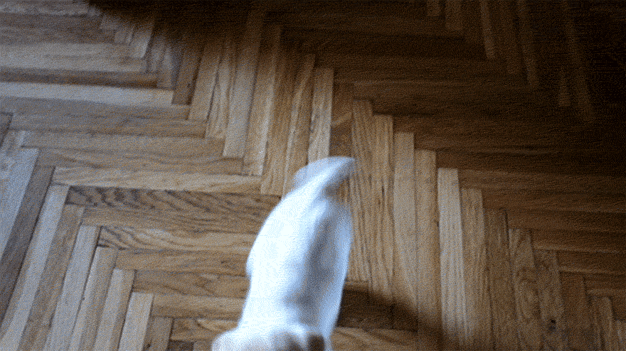 I Found This Adorable Puppy In An Abandoned Backyard And Brought Her Home