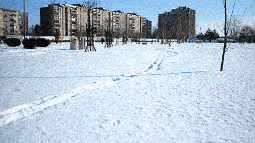 I Found This Adorable Puppy In An Abandoned Backyard And Brought Her Home I Found This Adorable Puppy In An Abandoned Backyard And Brought Her Home