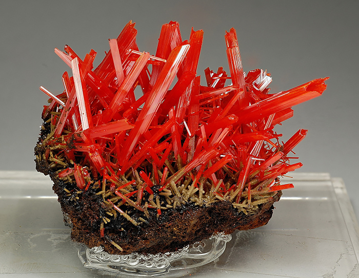 Vibrant red crystals in a striking formation, showcasing the beauty of minerals and stones, displayed on a clear stand.