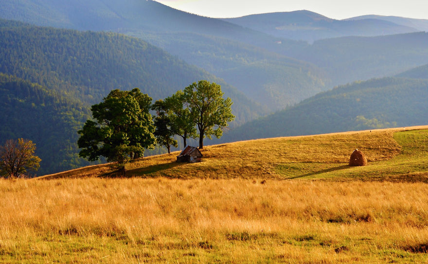 Autumn In Sibiu Region - Romania