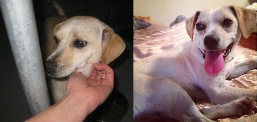 Ruby Before And After